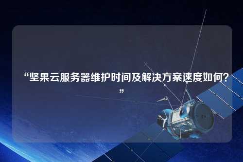 “堅果云服務器維護時間及解決方案速度如何？”