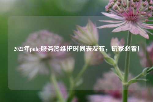 2022年pubg服務器維護時間表發(fā)布，玩家必看！