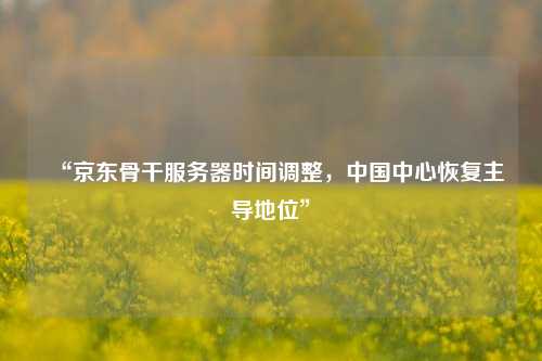 “京東骨干服務(wù)器時(shí)間調(diào)整，中國中心恢復(fù)主導(dǎo)地位”
